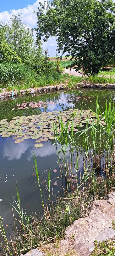 Domek U Rybnika Schloss Bosig Ngoại thất bức ảnh